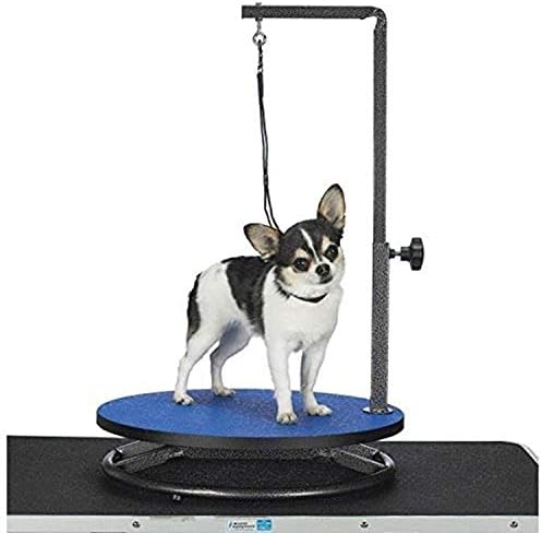 Master Equipment Pet Grooming Table for Pets