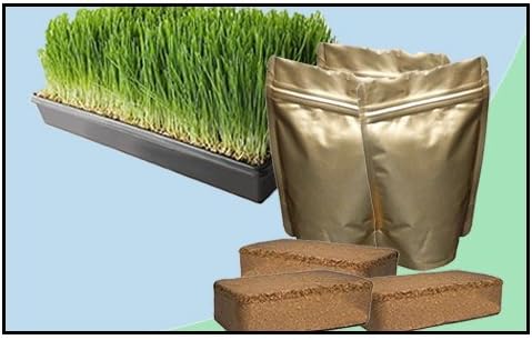 Wheatgrass Growing Kit - Small by THHC