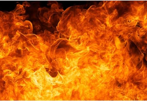 Baocicco Roaring Flame Backdrop Banner