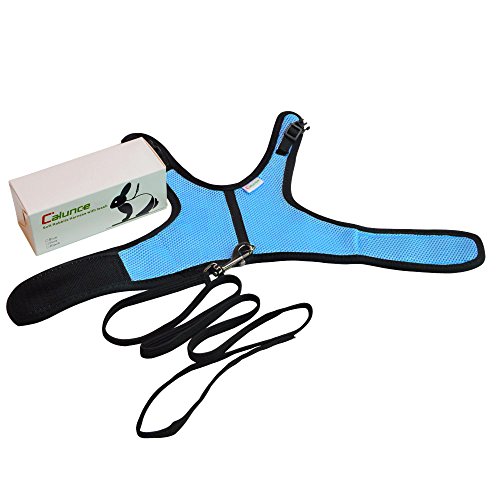 1 Calunce+Rabbits+Harness+Elastic+Leash