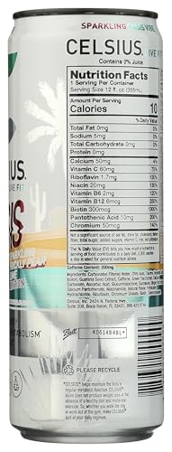 CELSIUS, OASIS VIBE, 12 FL OZ