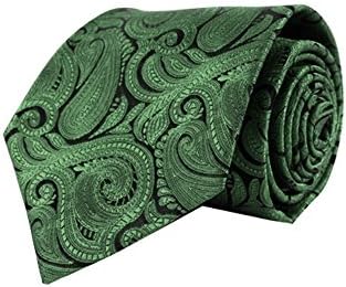 Men's Paisley 100% Microfiber Poly Woven Wedding Neck Tie