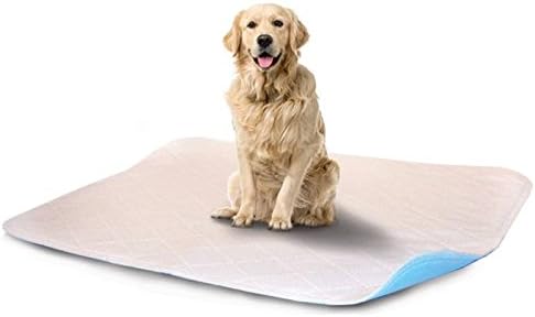 LennyPads Ultra Absorbent, Leak Proof, Washable Pee Pads - 1 Pack (121 cm x 121 cm) Jumbo
