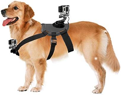NEWTTY KAY Dog Harness Mount Chest Strap Mount for Hero 6/5 /5/4/3+ Session DBPOWER AKASO VicTsing APEMAN WiMiUS Rollei QUMOX Lightdow Campark Sony Sports DV and More
