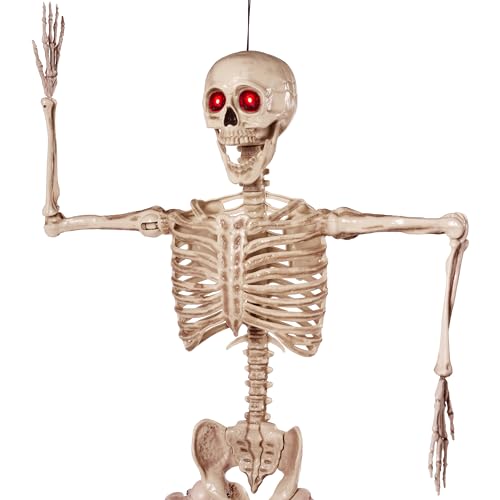 41daXNvoh5L.jpg