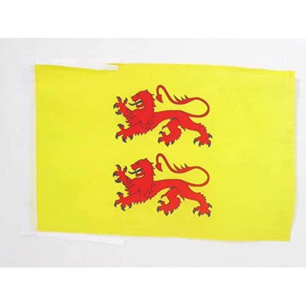 AZ FLAG - County of Bigorre Flag - 18'' x 12'' - 100% Polyester Bigorre county Small Banner with Two Cords - Fade Resistant - Vivid Colors - 18x12 in - 45x30 Cm