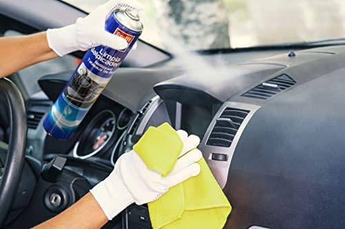 Limpia Salpicaderos Coche Profesional, Abrillantador Coche Interior con Bayeta Incluida 400 ml