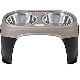 Petmate Easy Reach Pet Diner Elevated Dog Bowls 2 Sizes 2 Polished Colors