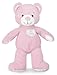 Kids Preferred Healthy Baby, Asthma and Allergy My Teddy Bear - Pink