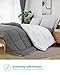 Equinox International, Two Way Plush Microfiber Fill All-Season Charcoal Gray/White Quilted Comforter, Goose Down Alternative - Reversible Duvet Insert Set - (350 GSM) (Queen 88 x 88 Inches)