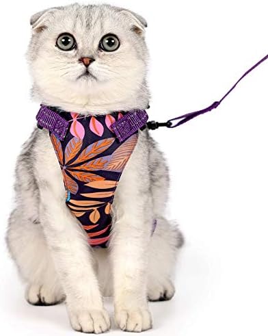 Cat Harness with Leash Set for Walking，Adjustable Escape Proof Pet Vest Harness for Cats Small Dogs Kitty Puppy ，Breathable Soft Mesh Cat Jacket with Reflective Straps for Outdoor Activities
