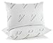 Pillows For Sleeping in Super Plush Comfort - Essence of Bamboo Derived Rayon Premium Edition Hypoallergenic Down Alternative Fiber Pillow - Crafted in USA (Queen 2-Pack) Best Sleep Ever