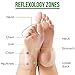 Premium Foot Pads | 100% Natural & Organic Ingredients | Best Fatigue & Stress Relief | Improve Sleep & Remove Impurities | 20 Body Cleansing Bamboo Vinegar Foot Patches