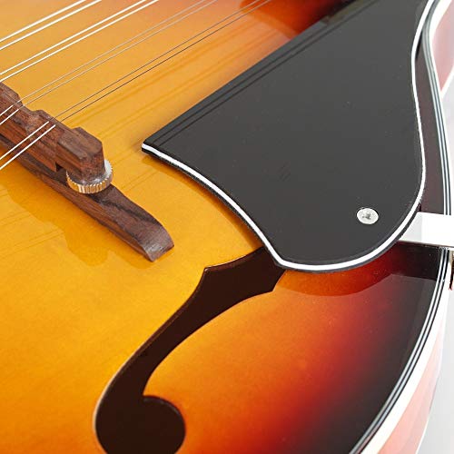 5 Hola+Music+Instrument+Adjustable+Truss+Rod