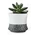 T4U 3.25 Inch Ceramic Korae Style Snow Serial No.3 Succulent Plant Pot/Cactus Plant Pot Flower Pot/Container/Planter