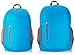 Amazon Basics Lightweight Packable Hiking Travel Day Pack Backpack - 17.5 x 17.5 x 11.5 Inches, 25 Liter, Light Blue