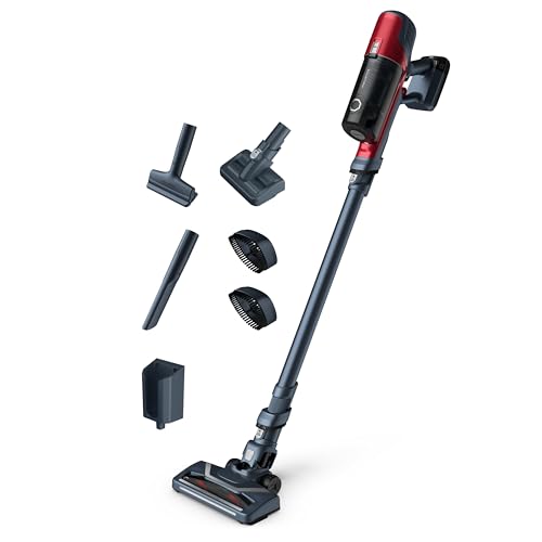 Rowenta X-Pert 6.60 RH6878 Cordless Stick Vacuum Cleaner, 100 W, Multiple Speeds, Boost Trigger, Up to 45 Minutes Autonomy, Interchangeable Battery, Lightweight, Handy Accessories, Dust Thief
