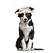 Mihachi Dog Hat - 2 Pack Pet Baseball Visor Cap Ear Holes Chin Strap Sport Play in Summer Small Dog Cat,Medium Size