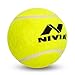 Nivia Heavy Tennis Ball Cricket Ball (Pack of 6)