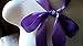 LaRibbons 1 Inch Wide Double Face Satin Ribbon - 25 Yard (465-Purple)