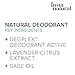 InstaNatural Aluminum Free Deodorant Stick for Men - Citrus Lavender Scent, 2.5 oz