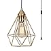 SEEBLEN Plug in Pendant Light Gold Hanging Light Fixture with 15 Ft Plug in Cord On/Off Switch Vintage Metal Cage Pendant Light Fixtures