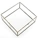 Vintage Brass & Clear Glass Decorative Box, 9.5-Inch Plant Terrarium Display, Jewelry Organizer with Lid