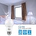 TORCHSTAR A19 LED Light Bulbs 60W Equivalent, UL Listed, 5000K Daylight, Dimmable, 9W, 800lm, Flicker Free, E26 Standard Base LED Bulb for Ceiling Fan, Lamp, 15,000hrs, Pack of 6