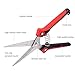 Aynice Pruning Shears, Professional Gardening Shears, Stainless Steel Ultra Sharp Multi-Purpose Hand Pruner Scissors for Garden Harvesting Fruits, Vegetables, Trimming Flowers and Plantsthumb 2