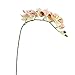 1 Piece Simulation Butterfly Orchid Artificial Flower Plant Home Decoration