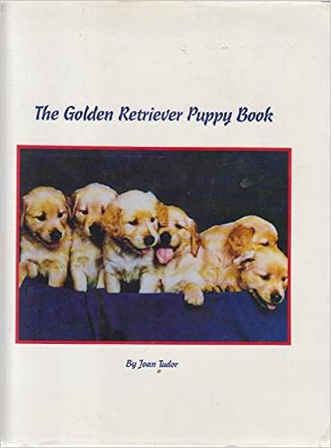 The Golden Retriever Puppy Book Joan Tudor 9780911039085 Amazon