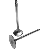 Brian Crower BC3070 Intake Valve (Honda D16Y8/D16Z6 30Mm)