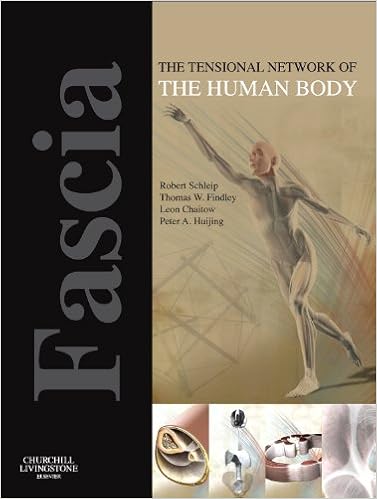 Fascia The Tensional Network Of The Human Body The Science - 
