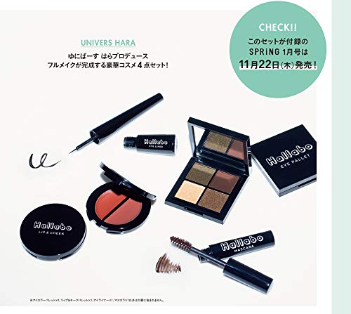 SPRiNG 2019年1月号 画像 B