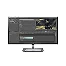 LG Electronics IPS Digital Cinema 4K Monitor 31MU97-B 31.0-Inch Screen LED-Lit Monitor