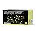 BESTOMZ 6PCS Wine Bottle Light 40 inch Starry Light for Wedding and Party (Warm White)