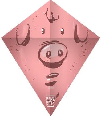 Great kite for children all ages. Cool design. Easy to fly and simple to assemble. Fun outdoor game/ toy/ activity. Perfect gift for kids. (Pattern: Pig pink)