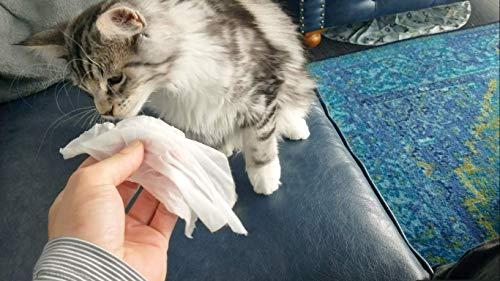 Hygea Natural Cat Bath Wipes with Catnip, Cleansing, & Reduce Allergens - Hypoallergenic- 20 Count