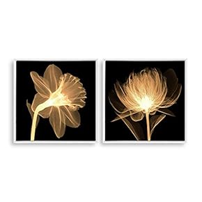 2 Piece Framed Canvas Home Artwork Decoration Transparent Flower Canvas Wall Art for Living Room, Bedroom - 16"x16"x2 Panels
