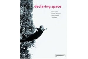 Declaring Space: Mark Rothko, Barnett Newman, Lucio Fontana, Yves Klein