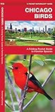 Chicago Birds: A Folding Pocket Guide to Familiar Species (Wildlife and Nature Identification)