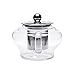 Teabox Neo Teapot (Borosilicate glass teapot, Stainless Steel Infuser, 16 fl oz)