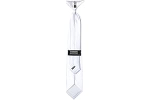 FOMANN Mens Clip on Ties Solid Uniform Clip-on Neck Ties for Police and Security Pullaway Clip Ties