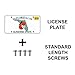 Prime Ave Standard + Extended Length Stainless Steel License Plate Screws ~ Compatible/Replacement for BMW & Mini (Pack of 16)