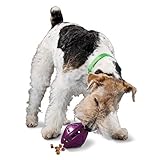 PetSafe Busy Buddy Twist 'n Treat Dispensing Dog Toy - Extra Small, Small, Medium, Large