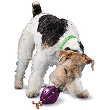 PetSafe Busy Buddy Twist 'n Treat Dispensing Dog Toy - Extra Small, Small, Medium, Large