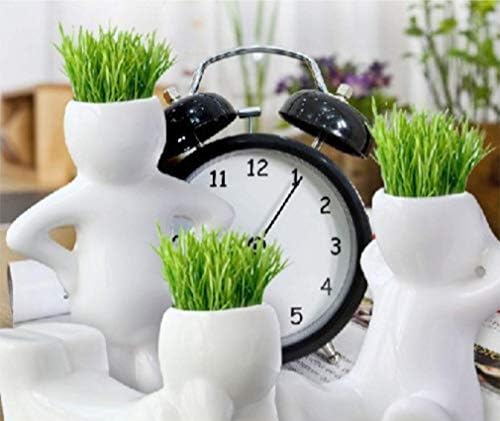 Liroyal オフィスミニ植木鉢 小さな白い長い草の頭の人形 草を植える草 Hold The Head B087fsfz7t 277円 激安通販ショッピング 超人気 専門店 人気海外一番 超美品再入荷品質至上 当店一番人気