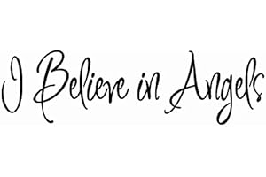 I Believe in Angels Wall Decal Nursery Wall Decals Inspirational Quotes VWAQ-1635 (8" H X 22" W)