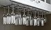 Useful. Under Cabinet Hanging Stemware Rack Hold Up To 24 Wine Glasses (Black)