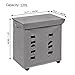 ZERO JET LAG Rolling 2 Section Double Laundry Hamper Stand Foldable Large Dirty Laundry Hamper Basket on Wheels Handy Waterproof Sorter and Organizer 21.7